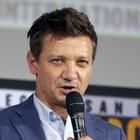 Jeremy Renner