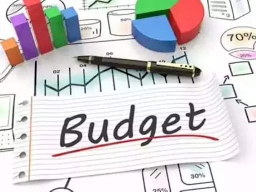 Maharashtra Budget 2024-25: Key highlights | Mumbai News - Times of India