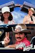 Smokey and the Bandit II