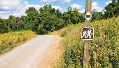 How to Find Hiking Trails Near You + Expert Tips for Hiking