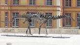 Largest dinosaur skeleton in WORLD goes on sale and could get £4.2M