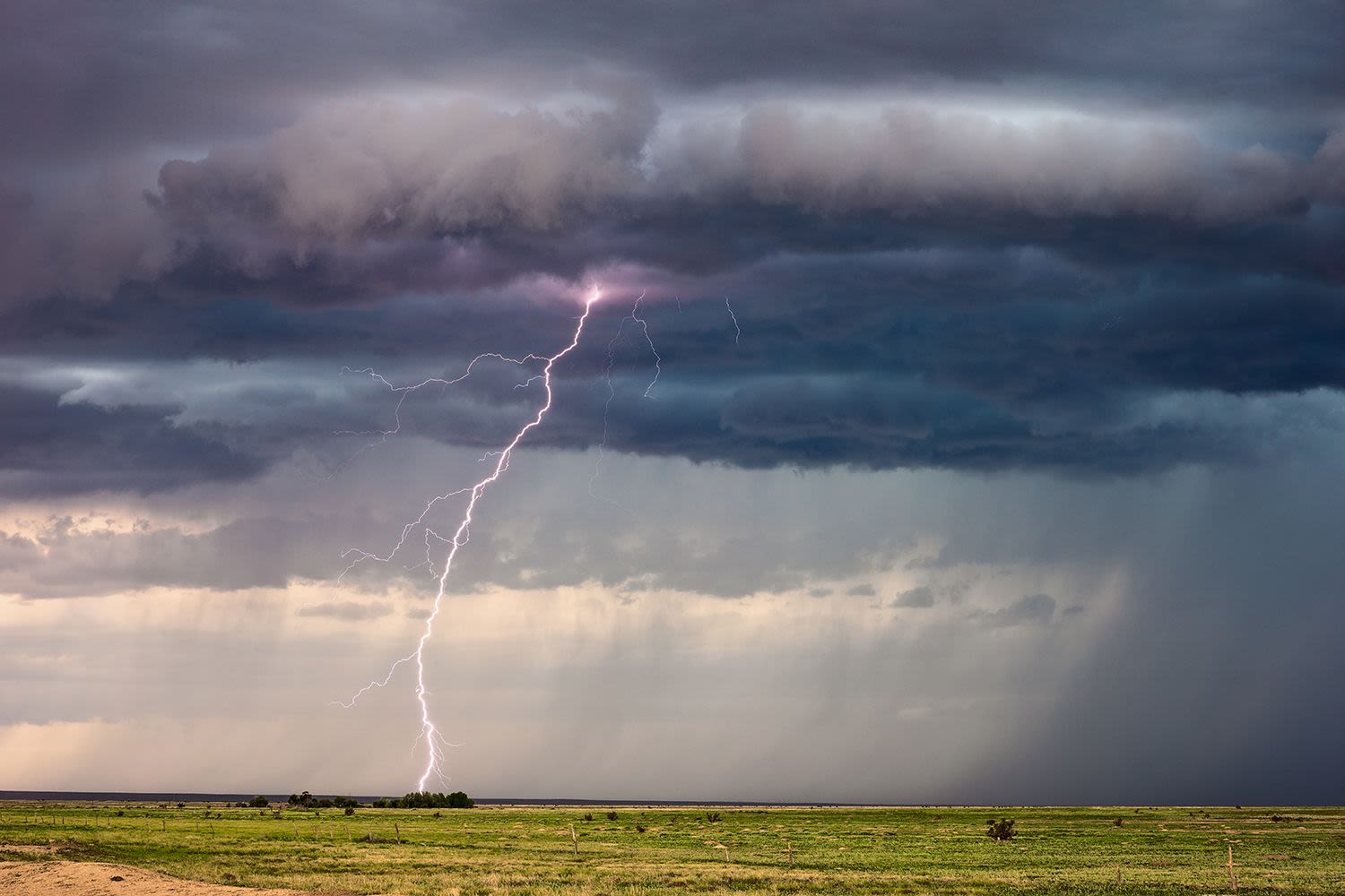 Rancher and 34 Cattle Killed by Same Lightning Strike in Colorado: 'It Hit Them All'