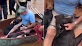 Un hombre arriesgó su vida para salvar a sus cuatro perros en las inundación de Brasil y el video conmovió al mundo