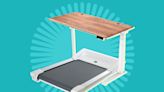 The 11 Best Standing Desks of 2023 for Work and Home Office Setups