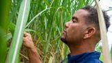 ‘Always tell your story’: Black farmers race to apply for discrimination compensation