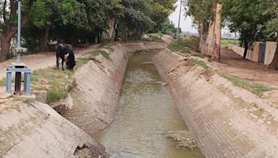 ‘Where is the support?’: Amid water crisis in southwest Punjab, farmers question government