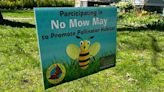 ‘No Mow May’ takes root in Michigan