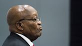 S. Africa’s Zuma to Represent Belarus at Carbon Credits Meet