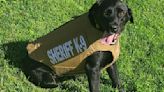 Webster County K9 receives new protective vest