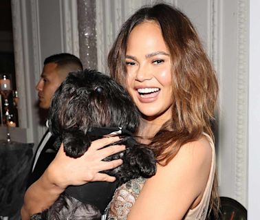 Chrissy Teigen Makes a Furry Friend at the ACE Awards, Plus Vin Diesel and Rita Moreno, Kim Kardashian and More