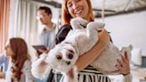 Office Pets Can Make You Less Stressed, Studies Say, and Furry Co-Workers Rank High at Some Companies