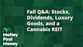 Answering Investors' Questions About Diversification, REITs, Luxury Brands, and More