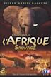 Chroniques de l'Afrique sauvage