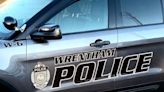 Wrentham animal hospital hit by vehicle