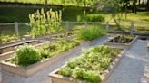 The 35 Best Raised Garden Bed Ideas to Transform Your Outdoor Space