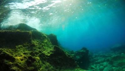 Oxígeno negro en el Océano Pacífico: ¿Qué es y por qué pone en duda la teoría sobre los orígenes de la vida?