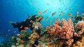 International Scuba Day: These Are The Best Cities If You Love To Dive