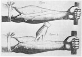 Exercitatio Anatomica de Motu Cordis et Sanguinis in Animalibus