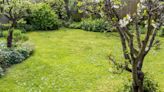 Garden expert shares 'eco-friendly' tips to get your grass greener