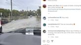 ‘Tiburones nadando en las calles’: Un video grabado antes de huracán en Florida se hace viral