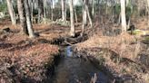 Scituate Reservoir's woods are closed to the public. Here's what we saw on a special tour.