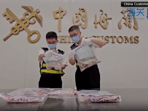 Man stopped at Hong Kong customs with 100 live snakes down his pants