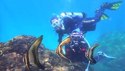 台南潛水證照班推薦，水下攝影潛水裝備租賃