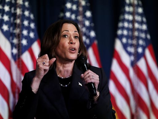 Nikki Haley voters PAC announces support for Kamala Harris