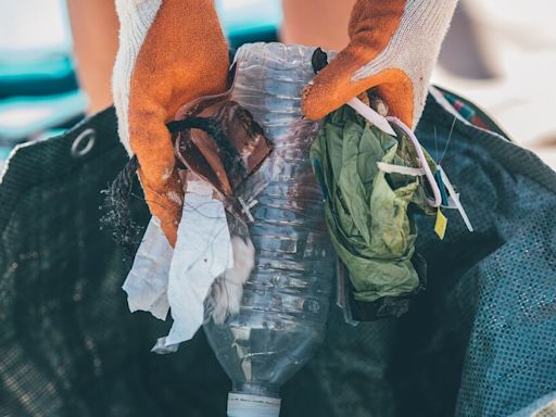 Plastic bag litter falls by 80% on beaches over a decade, seaside clean-ups show