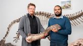 A New Kind of Dinosaur is Discovered in Germany — Introducing the Tuebingosaurus