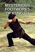 Mysterious Footworks of Kung Fu