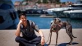 The real stars of Cannes may be the dogs