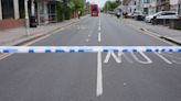 Boy, 14, killed in Hainault sword attack named