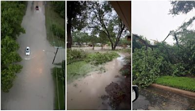 Árboles y tendido eléctrico derribados tras tormenta en Dallas: se mantiene la alerta por inundaciones