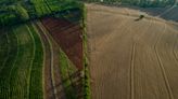 Farming Destroyed Brazil’s Rain Forests. It Could Also Save Them