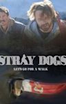 Stray Dogs