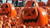 Stoddard Ave. Pumpkin Glow set to light up the night