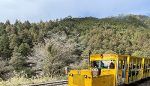 太平山蹦蹦車軌道風災路基流失 8月6日復駛大幅縮短車程