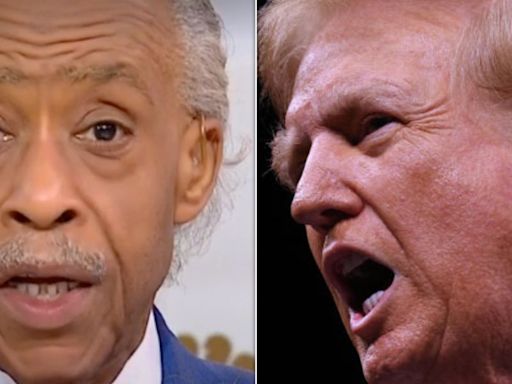 Al Sharpton Dares Trump To Make 1 Particular Veep Selection After Abraham Lincoln Remark