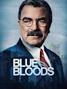 Blue Bloods – Crime Scene New York