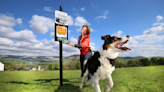 Petplan Renews Contract for the 3rd Year Consecutively - Help Push Cleaner, Responsible Dog Ownership