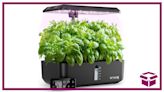 Experience Amazing Indoor Gardening with URUQ Hydroponics System, 58% Off for Amazon Prime Day