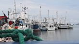 Incopesca valora permitir a barcos palangreros extraer carnada viva otra vez