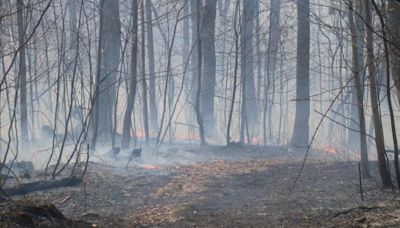 ‘Human cause’ started brush fire that burned 15+ acres of Lancaster County woods