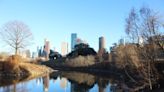 8 bridges crossing Buffalo Bayou could be studied for rehabilitation