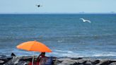 Por tiburones cerraron playa en Queens, Nueva York; aves dificultan supervisión de drones - El Diario NY