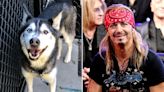 Poison frontman Bret Michaels adopts dog named after him