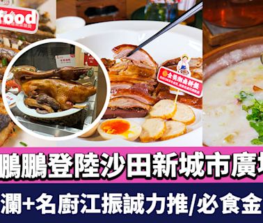 深圳潮汕菜名店陳鵬鵬登陸沙田新城市廣場！食家蔡瀾+名廚江振誠力推/必食金獎滷鵝