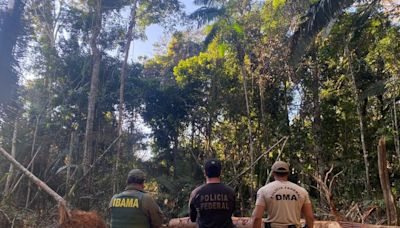 Polícia Federal identifica crimes ambientais na Terra Indígena 7 de Setembro