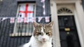 Larry the Cat ‘happy and healthy’ says Downing Street after reports he was seriously ill